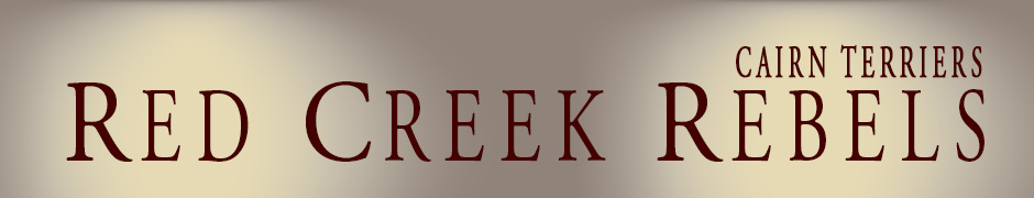 Red Creek Rebels - Cairn Terriers